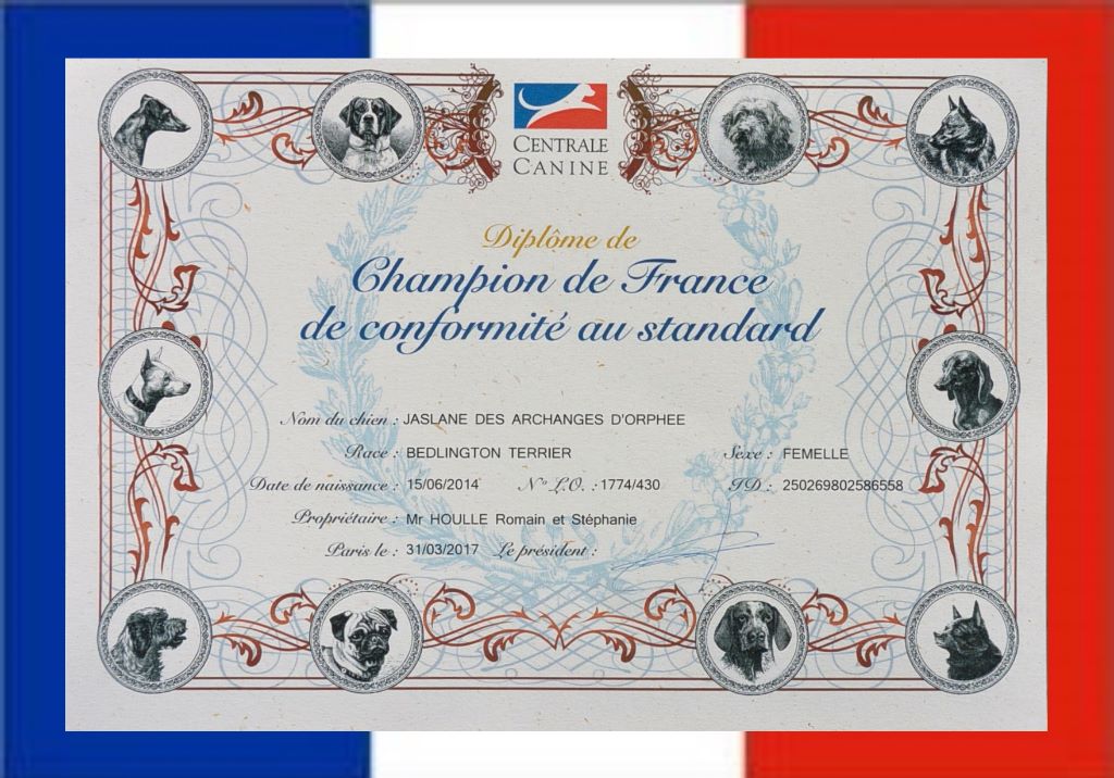 Des Archanges D'orphée - Jaslane DES ARCHANGES D'ORPHÉE est Championne de France.