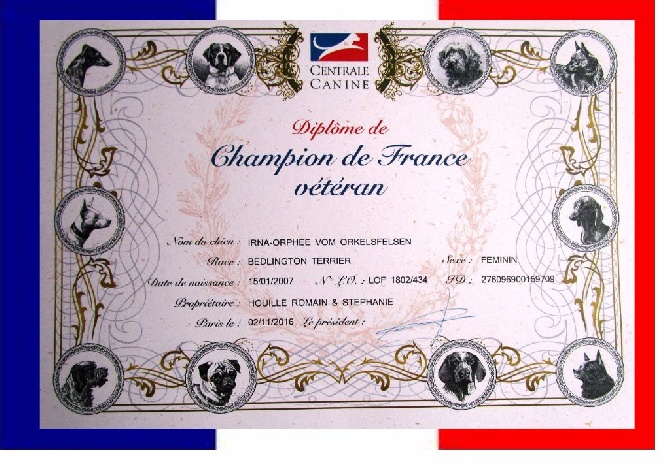 Des Archanges D'orphée - Homologation du titre de Champion de France Vétéran d'Orphée.