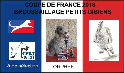 Des Archanges D'orphée - Orphée - Finale de la Coupe de France 2018 de Broussaillage de la SCC.