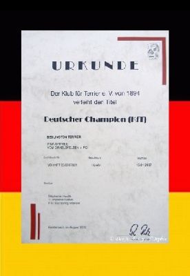 Des Archanges D'orphée - Irna-Orphée vom ORKELSFELSEN est Championne d'Allemagne (KfT).