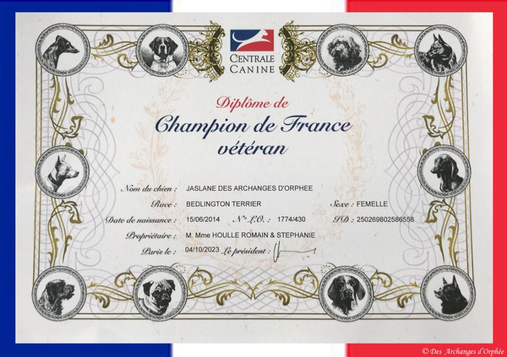 Des Archanges D'orphée - Titre de Championne de France Vétéran homologué pour Jaslane