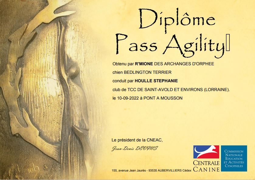 Des Archanges D'orphée - R'mione DES ARCHANGES D'ORPHÉE obtient le Pass Agility.