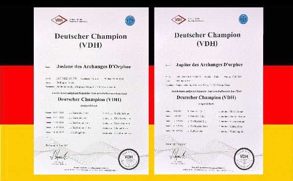 Des Archanges D'orphée - Jaslane et Jupiter DES ARCHANGES D'ORPHÉE sont Champions d'Allemagne !