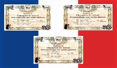 Des Archanges D'orphée - Homologation des titres de Champion de Travail d'Orphée, Olga, Tsarine
