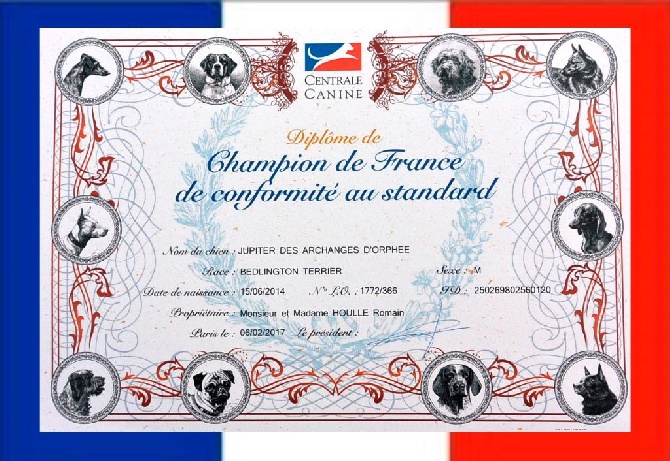 Des Archanges D'orphée - Jupiter DES ARCHANGES D'ORPHÉE est Champion de France.