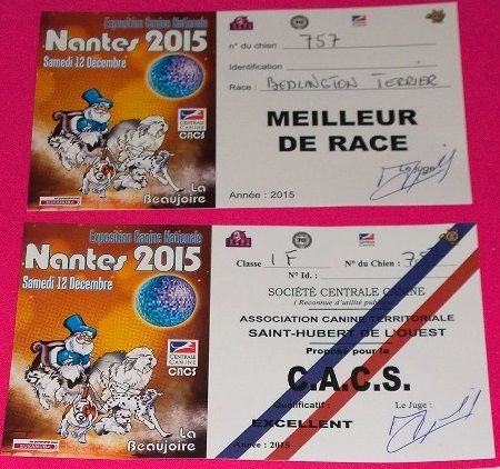 Des Archanges D'orphée - CAC -Spéciale de race de Nantes 2015.