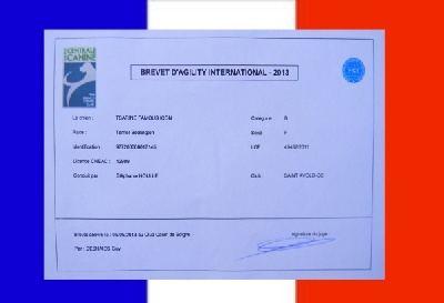 Des Archanges D'orphée - Brevet international d'Agility FCI pour ISOTOP'S Famous "Tsarine".