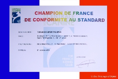 Des Archanges D'orphée - Champion de France.