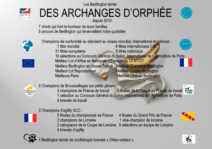 Des Archanges D'orphée - L'affixe "DES ARCHANGES D'ORPHÉE" fête ses 10 ans !