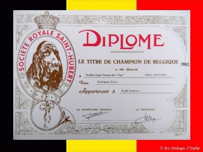 Des Archanges D'orphée - TOOLBOX Super Trouper "Olga" est Championne de Belgique,