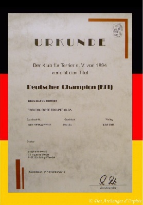 Des Archanges D'orphée - Olga est Championne d'Allemagne KfT.