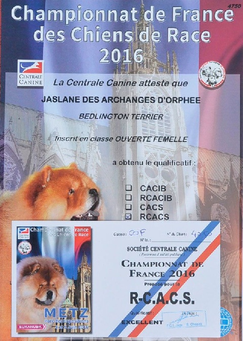 Des Archanges D'orphée - Championnats de France 2016.