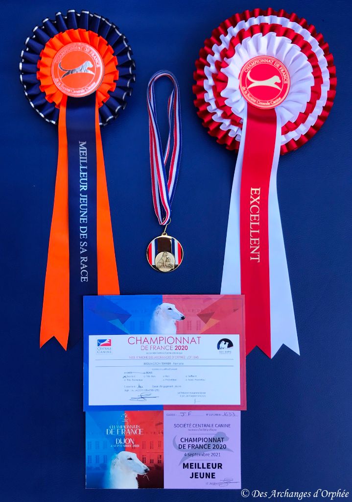 Des Archanges D'orphée - R'mione DES ARCHANGES D'ORPHÉE est Championne de France Jeune
