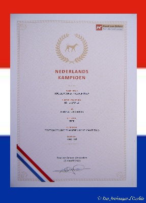 Des Archanges D'orphée - Championne des Pays-bas.