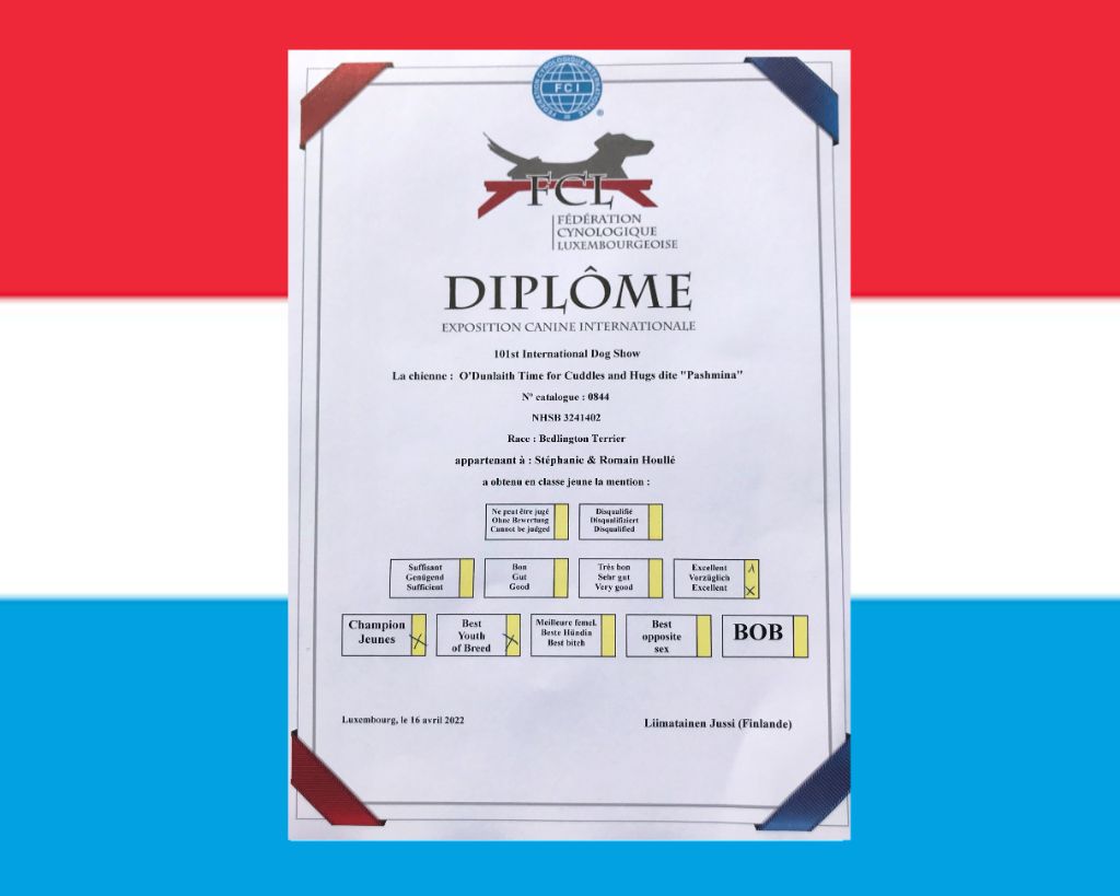 Des Archanges D'orphée - Pashmina est Championne du Luxembourg Jeune