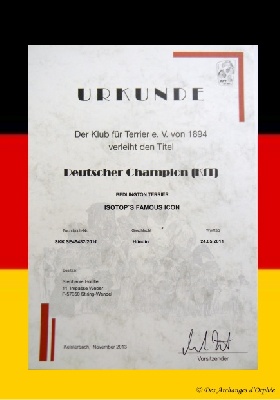 Des Archanges D'orphée - Champion d'Allemagne KfT.