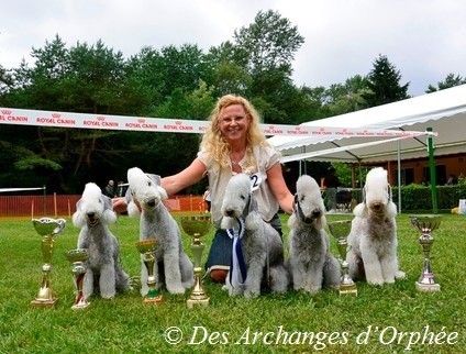 Des Archanges D'orphée - Régionale d'Elevage Alsace 2015.