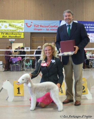 Des Archanges D'orphée - Résultats de la Spéciale Terrier de Merchweiler 2012