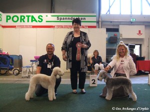 Des Archanges D'orphée - Résultats + Photos CACIB & CAC Sarrebrück /Allemagne.