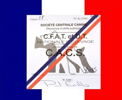 Des Archanges D'orphée - Championnes de France à la Nationale d'Elevage 2015.