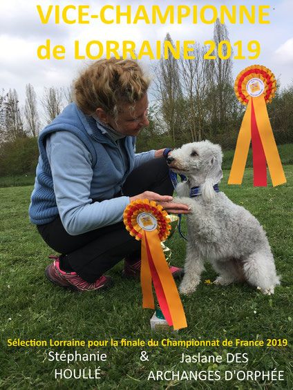 Des Archanges D'orphée - Jaslane DES ARCHANGES D'ORPHÉE vice-championne de Lorraine 2019 !