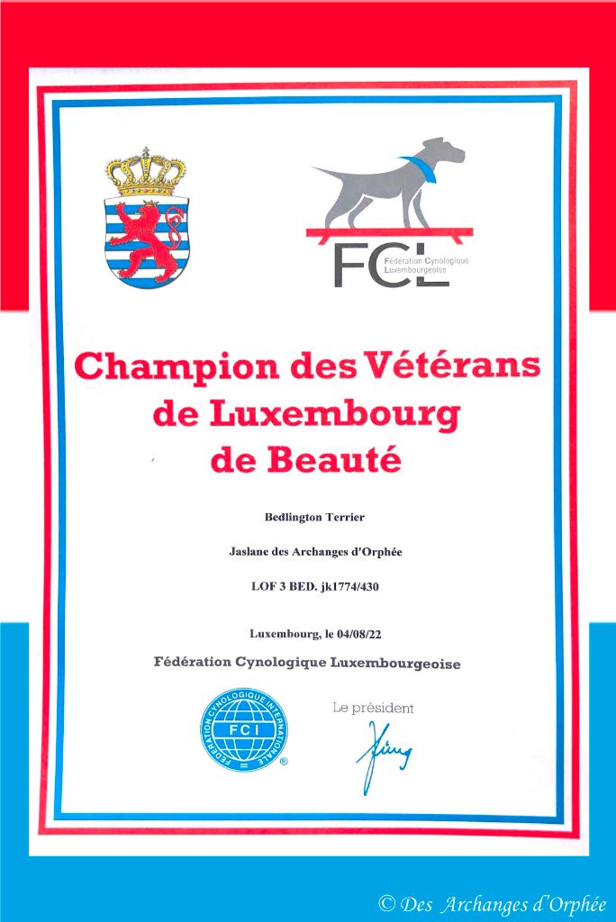 Des Archanges D'orphée - Titre de Championne du Luxembourg Vétéran homologué pour Jaslane