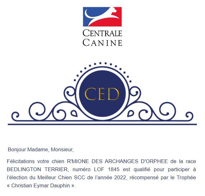 Des Archanges D'orphée - Trophée SCC "Meilleur chien de l'année".