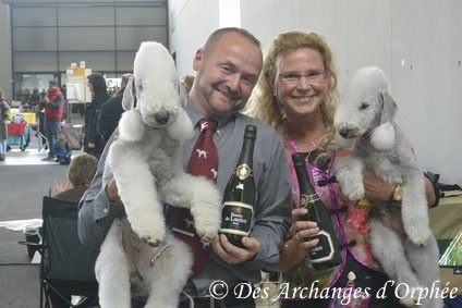 Des Archanges D'orphée - CACIB & CAC de Karlsruhe 2015.