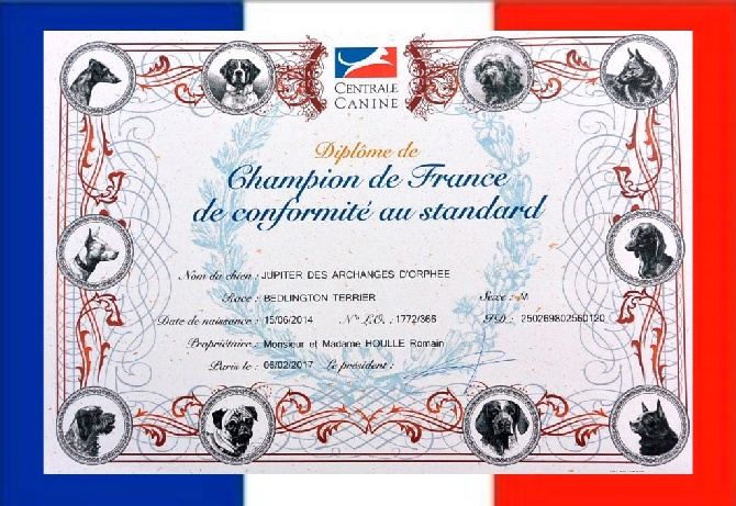 Des Archanges D'orphée - Jupiter DES ARCHANGES D'ORPHÉE est Champion de France.