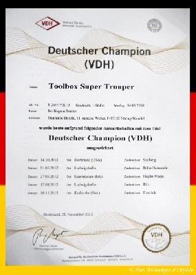 Des Archanges D'orphée - TOOLBOX Super Trouper "Olga" est Championne d'Allemagne VDH.