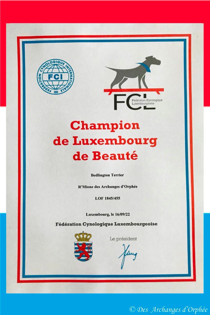 Des Archanges D'orphée - Homologation du titre de Championne du Luxembourg pour R'mione