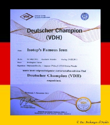Des Archanges D'orphée - Champion d'Allemagne VDH.
