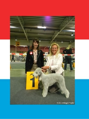 Des Archanges D'orphée - TOOLBOX Super Trouper "Olga" est Championne du Luxembourg.