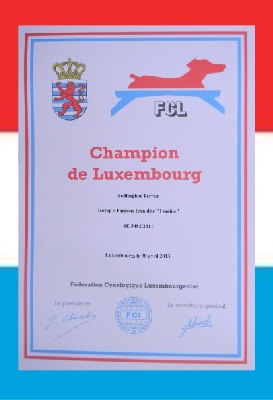 Des Archanges D'orphée - Tsarine est Championne du Luxembourg.
