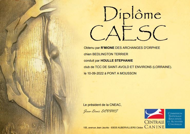 Des Archanges D'orphée - R'mione DES ARCHANGES D'ORPHÉE obtient son CAESC